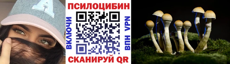 ссылка на мегу маркетплейс  Выборг  Галлюциногенные грибы мухоморы 